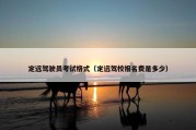 定远驾驶员考试格式（定远驾校报名费是多少）