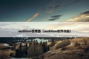 audition管理器（audition软件功能）