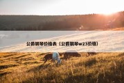 公爵钢琴价格表（公爵钢琴w23价格）