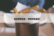 保定樱桃树苗？ 樱桃树苗基地？
