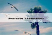 水中漂浮易擦笔吗（水中漂浮易擦笔吗图片）