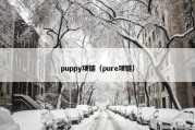 puppy项链（pure项链）