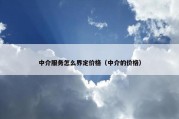 中介服务怎么界定价格（中介的价格）