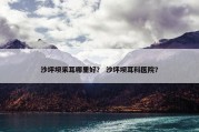 沙坪坝采耳哪里好？ 沙坪坝耳科医院？