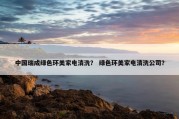 中国瑞成绿色环美家电清洗？ 绿色环美家电清洗公司？