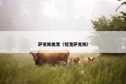 萨克斯美发（短发萨克斯）