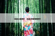 冯巩小提琴？ 冯巩中提琴教学？