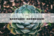 抽洗车券文案简短（洗车优惠卷活动说明）