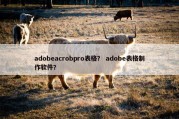 adobeacrobpro表格？ adobe表格制作软件？