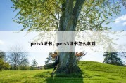 pets3证书，pets3证书怎么拿到