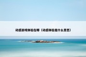 动感游戏体验在哪（动感体验是什么意思）