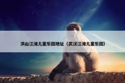 洪山江滩儿童乐园地址（武汉江滩儿童乐园）