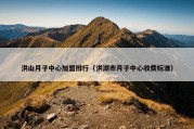 洪山月子中心加盟排行（洪湖市月子中心收费标准）