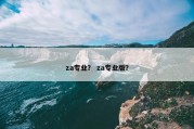 za专业？ za专业版？