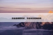 济南保姆哪家好，济南有找保姆的吗