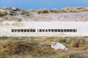 清华管理课程讲解（清华大学管理课程视频教程）