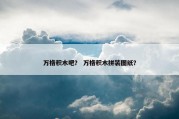 万格积木吧？ 万格积木拼装图纸？