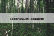小游戏推广合伙人招聘（小游戏公司招聘）