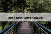 盘龙生鲜果蔬推荐（盘龙生态产业园怎么样）