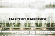 什么力量作文500字（什么力量作文600字）