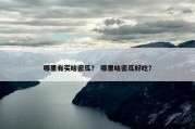 哪里有买哈密瓜？ 哪里哈密瓜好吃？