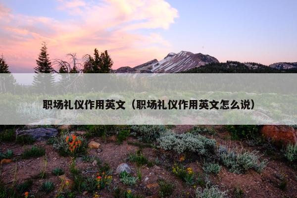 职场礼仪作用英文（职场礼仪作用英文怎么说）