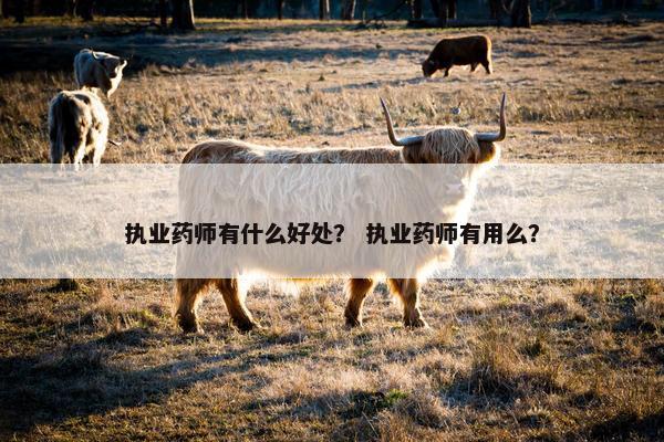执业药师有什么好处？ 执业药师有用么？