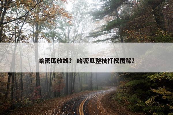 哈密瓜放线？ 哈密瓜整枝打杈图解？