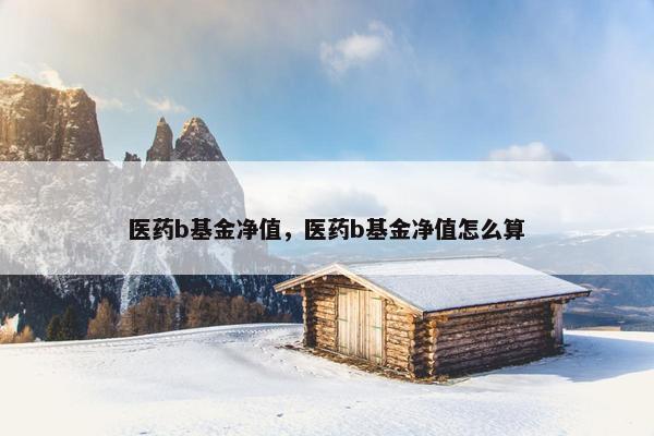 医药b基金净值，医药b基金净值怎么算