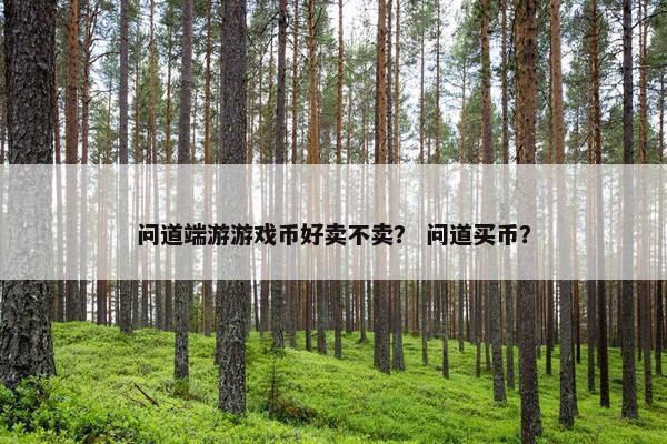 问道端游游戏币好卖不卖？ 问道买币？