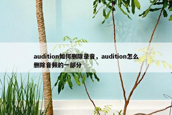 audition如何删除录音，audition怎么删除音频的一部分