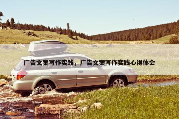 广告文案写作实践，广告文案写作实践心得体会