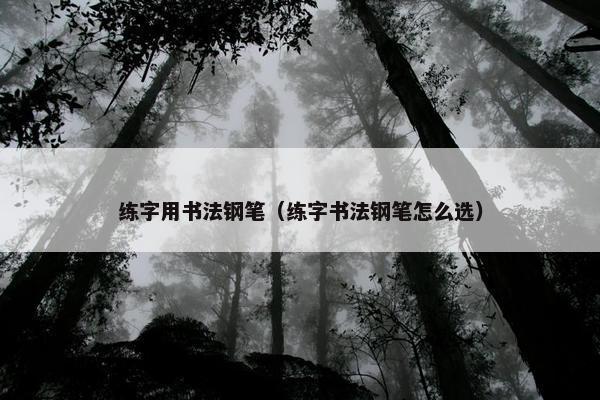 练字用书法钢笔（练字书法钢笔怎么选）