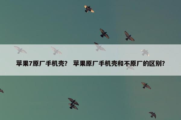 苹果7原厂手机壳？ 苹果原厂手机壳和不原厂的区别？