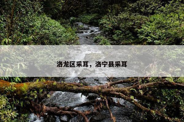 洛龙区采耳，洛宁县采耳