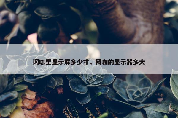 网咖里显示屏多少寸，网咖的显示器多大