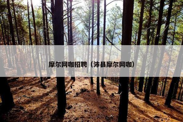 摩尔网咖招聘（沛县摩尔网咖）