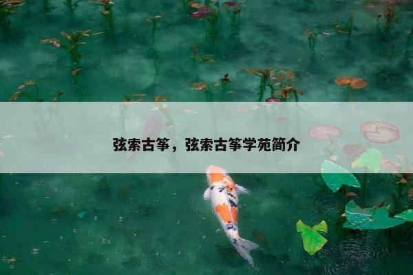 弦索古筝，弦索古筝学苑简介