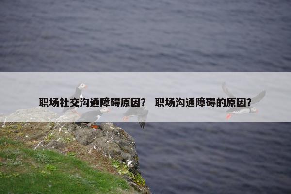 职场社交沟通障碍原因？ 职场沟通障碍的原因？