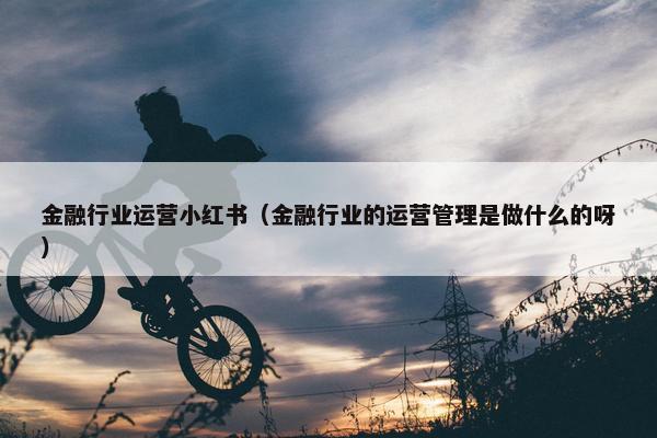 金融行业运营小红书（金融行业的运营管理是做什么的呀）
