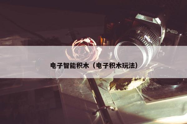 电子智能积木（电子积木玩法）