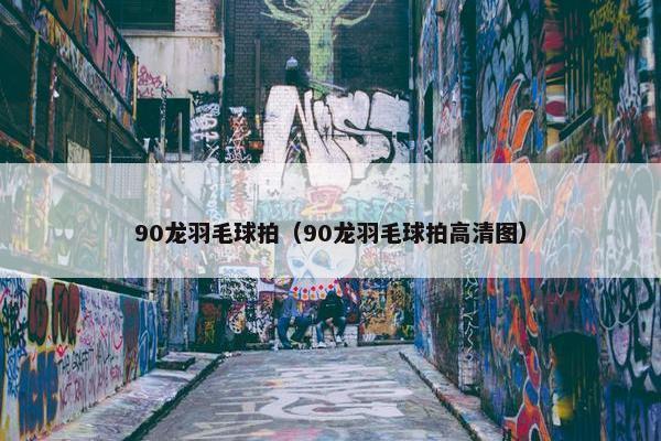 90龙羽毛球拍（90龙羽毛球拍高清图）