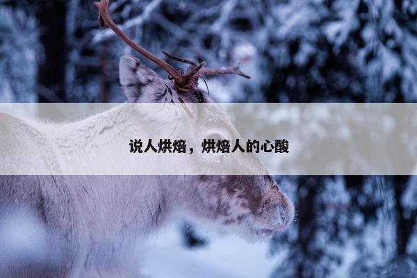 说人烘焙，烘焙人的心酸
