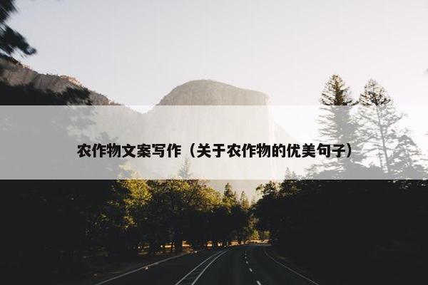 农作物文案写作（关于农作物的优美句子）