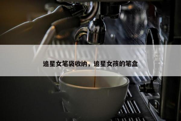 追星女笔袋收纳，追星女孩的笔盒