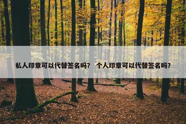 私人印章可以代替签名吗？ 个人印章可以代替签名吗？