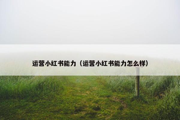 运营小红书能力（运营小红书能力怎么样）