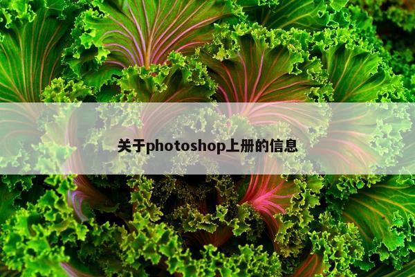 关于photoshop上册的信息