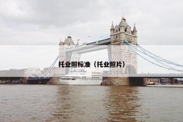 托业照标准（托业照片）