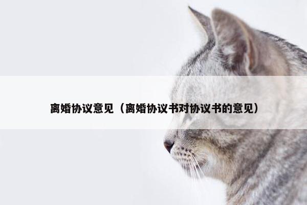 离婚协议意见（离婚协议书对协议书的意见）